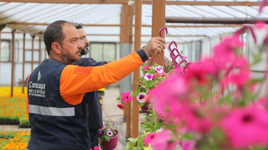 Çankaya Belediyesi Yaz İçin 200 Bin Çiçek Üretiyor