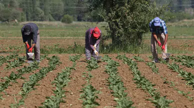 CHP'li Barut: Çiftçi borcu 208 kat arttı