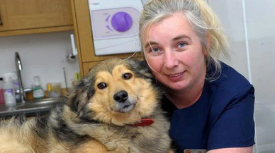 KKTC'de yaşayan İngiliz aile, 'hayvanlara eziyet'ten yargılanacak