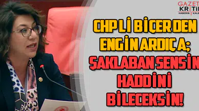 CHP'Lİ BİÇER'DEN ENGİN ARDIÇ'A; ŞAKLABAN SENSİN HADDİNİ BİLECEKSİN