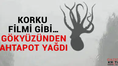 Korku filmi gibi… Gökyüzünden ahtapot yağdı