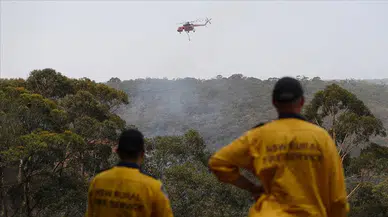Avustralya'da 41 bin hektarlık ormanlık alan yangında yok oldu
