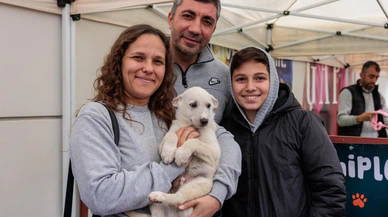 İzmir Konak Belediyesi'nden patili dostları sahiplendirme etkinliği: Satın alma sahiplen