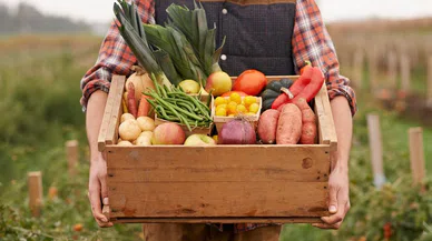 Ramazan Öncesi Gıda Fiyatları Uçtu: Ramazan Kolisine %65 Zam