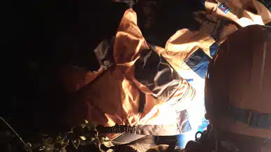 Belgrad Ormanında kaybolan Ece Gürel sağ bulundu