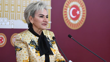 CHP'li Özdemir: "Yeni Yasalar Hayvanları Yok Etmeye Yönelik"