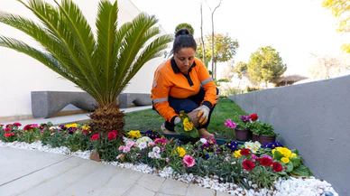 Mersin Büyükşehir Kompost üretimi ile hem doğayı koruyor hem de israfı engelliyor