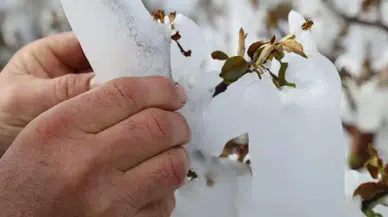 CHP'li Ulaş Karasu'dan zirai don çıkışı: Çiftçilerin borçları ertelenmeli, afet bölgesi ilan edilmeli