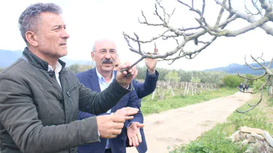 CHP’li Sarıbal: 2025, Tarımda 'Yok Yılı' Olarak Tarihe Geçecek