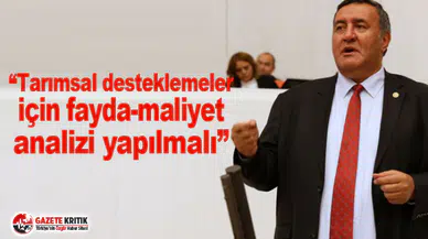 Gürer: “Tarımsal desteklemeler için fayda-maliyet analizi yapılmalı”