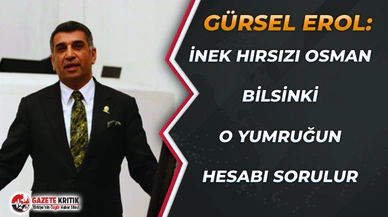 Gürsel Erol, linç girişimini Meclis'e taşıdı:İnek hırsızı Osman bilsin ki o yumruğun hesabı sorulur