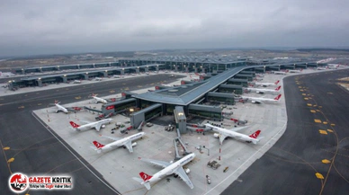 İstanbul Havalimanı'nı arılar bastı