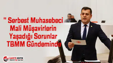 VECDİ GÜNDOĞDU MALİ MÜŞAVİRLERİN SORUNLARINI ARAŞTIRMA ÖNERGESİ İLE TBMM'YE TAŞIDI