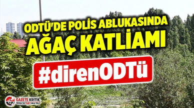 ODTÜ'de polis ablukasında ağaç katliamı... DirenODTÜ!