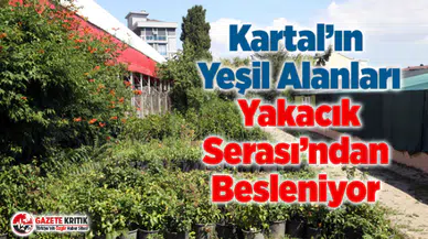 Kartal’ın Yeşil Alanları Yakacık Serası’ndan Besleniyor