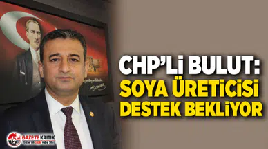 CHP'li Burhanettin Bulut: Soya Üreticisi Destek Bekliyor