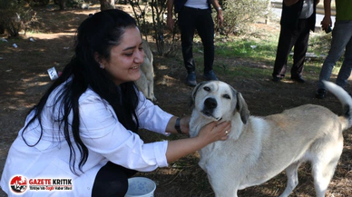 Kartal Belediyesi’nden 4 Ekim’de Sokak Hayvanlarına Mama Desteği