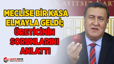 MECLİSE BİR KASA ELMAYLA GELDİ; ÜRETİCİNİN SORUNLARINI ANLATTI