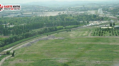 Ankara Büyükşehir Belediyesi, Atatürk Orman Çiftliği arazisinde üretime başlıyor