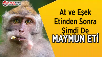 At ve Eşek Etinden Sonra Maymun Eti