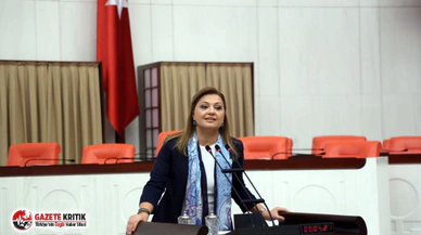Köksal'dan Tarım Bakanı'na 2 önerge