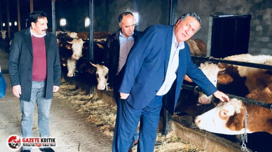 CHP'li Gürer: Hayvandan İnsana  hastalıklar bulaşması daha dikkatli takibi artık şarttır