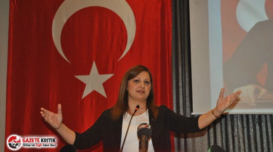 CHP'li Köksal: "DSİ Büyük Taarruz Savaşının geçtiği toprakları sular altında bırakacak"