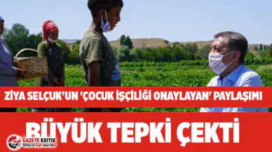 Bakan Selçuk'un 'çocuk işçiliği normalleştiren' paylaşımı büyük tepki çekti!