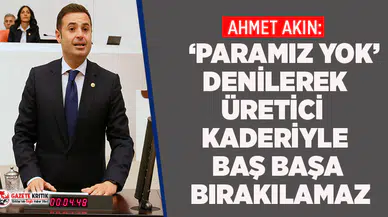 CHP'li Ahmet Akın zeytin üreticisinin sesi oldu