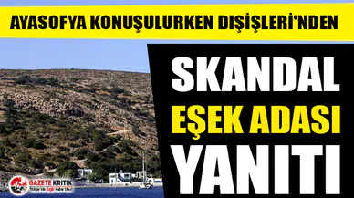 Dışişleri'nden skandal Eşek Adası yanıtı!