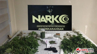 Saksıda kenevir yetiştiren zabıta memuru gözaltına alındı