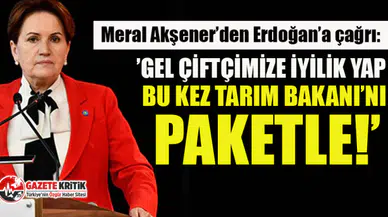 Akşener'den Erdoğan'a: Bugüne kadar açıkladığın en iyi ve en etkili paket, damadını paketlemendi