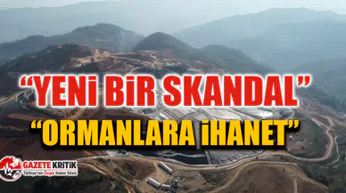 CHP’li Torun’dan “Fatsa” tepkisi!