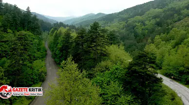 Kazdağı Koruma Derneği: ’60 yıllık ruhsat’ koca bir yalan