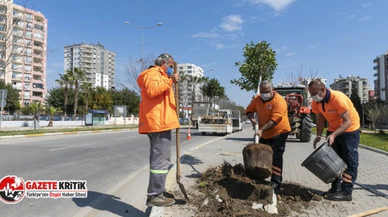 Mersin Büyükşehir, Kaldırımları Hem Yeniliyor Hem Bitkilendiriyor
