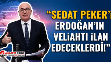 CHP’li vekil Mahmut Tanal, yandaşların Sedat Peker arşivini açtı!