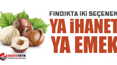 CHP'li Mustafa Adıgüzel: Fındıkta iki seçenek: Ya ihanet ya emek