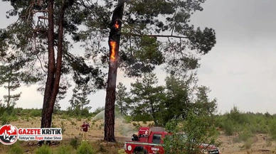 Muğla'da 12 günde 48 orman yangını