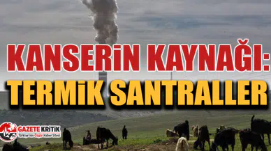CHP'li Özgür Ceylan, Kanserin Kaynağı: Termik Santraller