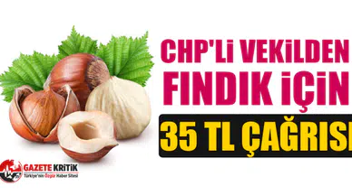 CHP'li vekilden fındık için 35 TL çağrısı