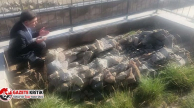 İYİ Parti Erzurum Milletvekili Naci Cinisli: Şehitlikte isyan ettiren görüntü!