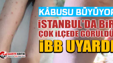 Kâbusu büyüyor... İstanbul'da bir çok ilçede görüldü: İBB uyardı