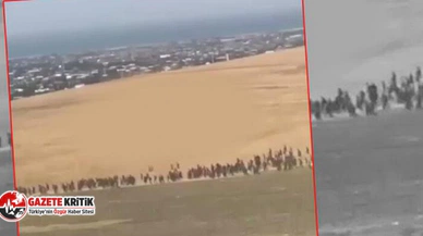 Van'da 113 Afgan göçmen yakalandı