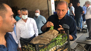 CHP'li Gürsel Tekin, ‘Hal Esnafı Can Çekişiyor”