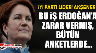 Meral Akşener: Bu iş Erdoğan'a zarar vermiş, bütün anketlerde...