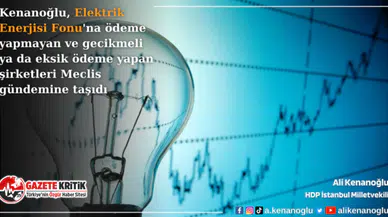 Kenanoğlu, Elektrik Enerjisi Fonu’na ödeme yapmayan ve gecikmeli ya da eksik ödeme yapan şirketleri Meclis gündemine taşıdı