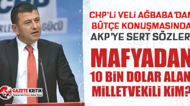 CHP'li Veli Ağbaba’dan bütçe konuşmasında AKP’ye sert sözler!