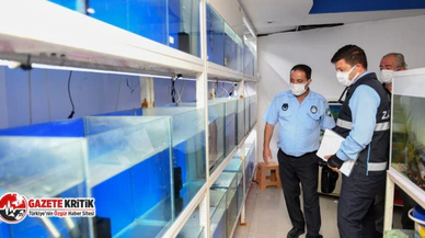 Yenişehir Belediyesi ilçedeki petshopları denetledi