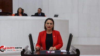 CHP'li Müzeyyen Şevki: “Yanlış karardan derhal dönülmelidir”