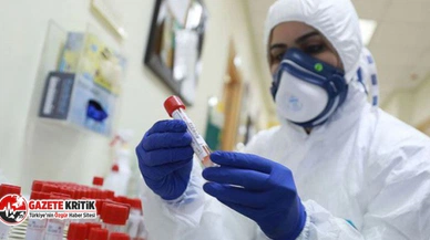 Yeni araştırma: Omicron'un bulaşma oranı ne kadar?